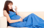 Геделикс при беременности от кашля: 1, 2, 3 триместр