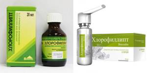 Таблетки для рассасывания Хлорофиллипт: инструкция по применению
