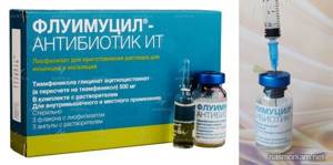Флуимуцил-антибиотик ИТ для ингаляций: инструкция по применению для детей и взрослых, как разводить, отзывы