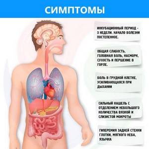 Что такое пневмония и чем она опасна?