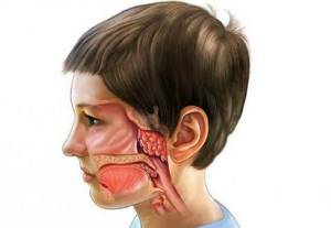 Ринофлуимуцил для детей в нос: инструкция по применению, при аденоидах, аналоги, отзывы