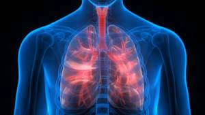 Пневмония: признаки и симптомы у взрослого
