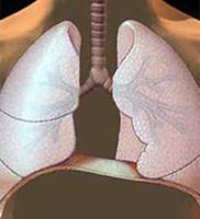 Лечение рака лёгкого и ХОБЛ с помощью нанотехнологий