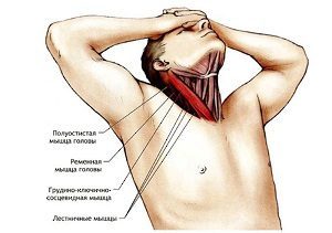 Болит горло и шея: по бокам, почему, с двух сторон